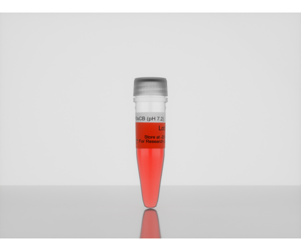 b20_3